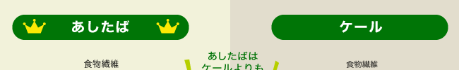΂ƃP[̐r}
