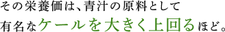 その栄養価は、青汁の原料として有名なケールを大きく上回るほど。