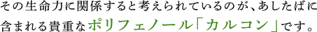 その生命力に関係すると考えられているのが、あしたばに含まれる貴重なポリフェノール「カルコン」です。