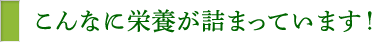 こんなに栄養が詰まっています！