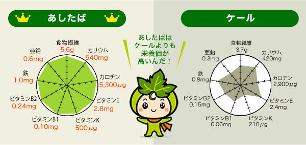 あしたばとケールの成分比較図